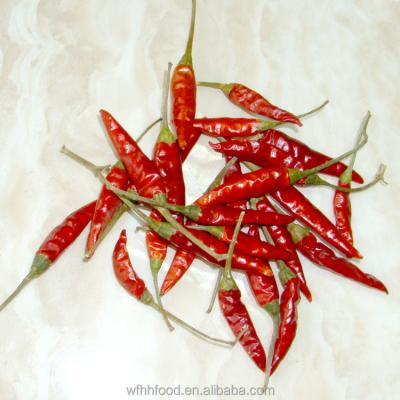 China Chinese chaotian hot chilli pepper dry chillies for sale