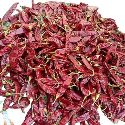 China Honglong13 dry dried red chili for sale