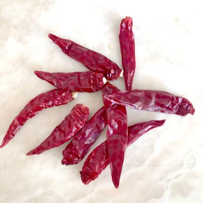 China Hot dry red popular tianying chili pepper for sale