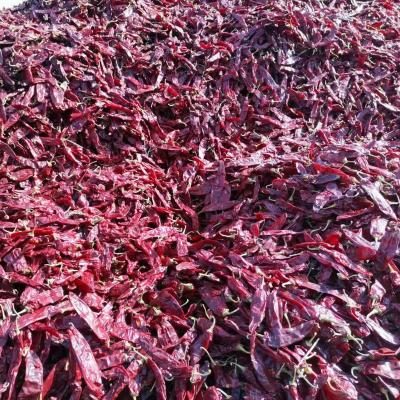 China Dried sweet paprika pods for sale