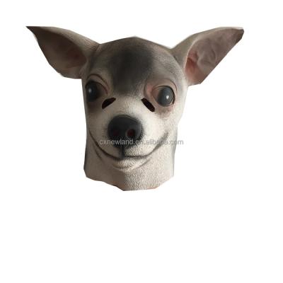 China Reality Latex Dog Mask Chihuahua Mask Party Masks for sale