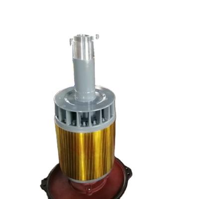 China Premium Efficient Vertical Machinery Repair Shops NEMA Hollow-Shaft Motors for sale