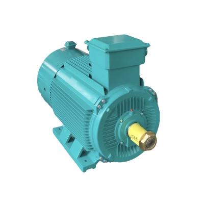 China TOSHIBA Totally Enclosed LEESAN VACON SEW IDC BALDO YZR280M 100kw 200Kw 400 KW 500kw 600kw 700kw 800kw 900kw 1000kw1500kw Three Phase AC Motor for sale