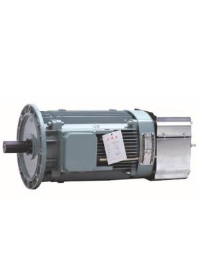 China 11KW Hoisting Three Phase Asynchronous Motor , 3 Phase Electric Motor YZEJ132M-4 for sale