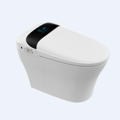 China 110V/220V Automatic Operation One Piece Wc Toilet Bowl European Luxury Ceramic Bidet Smart Electric Automatic Toilet Smart Bathroom Toilet for sale