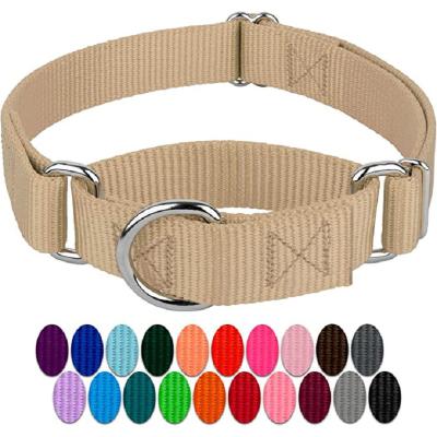 China Lights Martingale Collar - Heavy Duty Nylon Cooper Gold Martingale Dog Collar - 19 Vibrant Color Options for Small Medium Large Dogs for sale