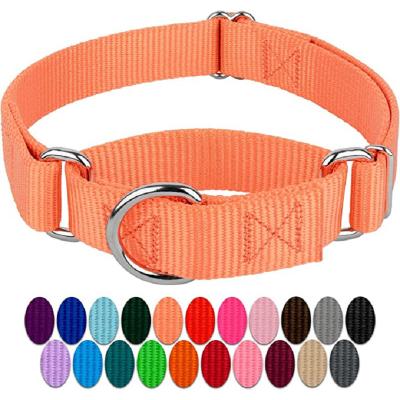 China Lights HOT Brand New Cheap Price Amazon Sale Dog Collar And Leash Set Mango Collar Chain Martingale For DOG for sale