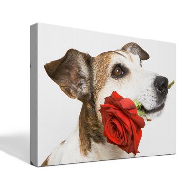 China Modern Customize Animal Dog And Rose Flower Picture Create Your Own Pictures Wall Art Canvas Prints for sale