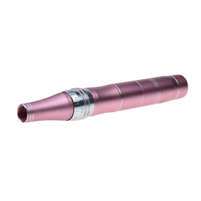 China Electric Anti-Puffiness Radio Derma Pen Auto Microneedle Derma Rolling System for sale