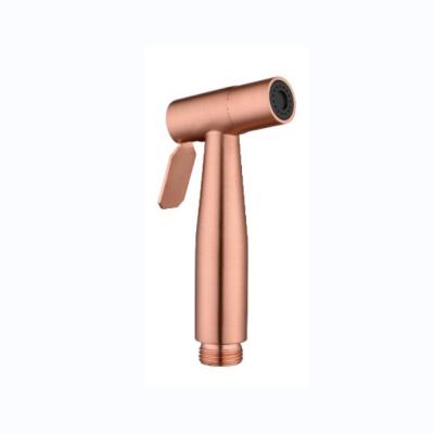 China Handheld Stainless Steel Bidet Sprayer Sustainable Design Style For Modern Bathrooms for sale