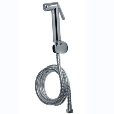 China Light Grey Chrome-plated Stainless Steel Hand Bidet Sprayer For Bathroom And Women for sale