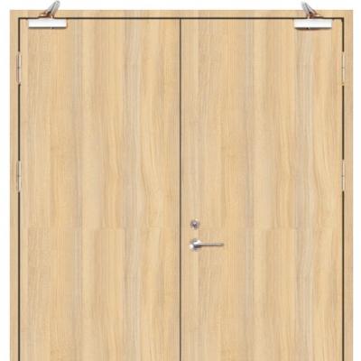 China Guangdong Modern Factory Customized Acoustic Double Doors Soundproof Door For Auditorium Te koop