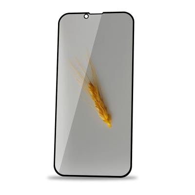 China Anti-peep For iPhone 11/12/13 pro Max Mini 9H 2.5D Tempered Glass Mobile Phone Screen Anti-peep Protector for sale