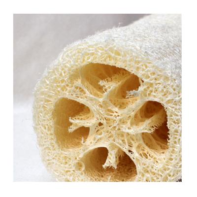 China Kitchen Viable Kitchen Tableware Outlet Factory Tool Loofah Cleaning Sponge Section for sale