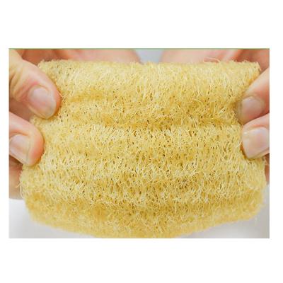 China Viable Sponge Scrubber Kitchen Dish Sponge Loofah Eco Friendly Biodegradable Cleaning Sponge for sale