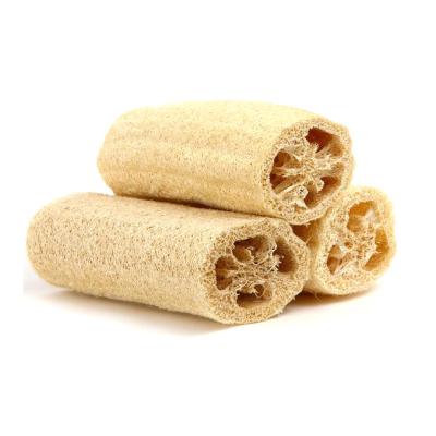 China Sustainable Customizable Kitchen Supplies Cleaning Tool Loofah Sponge Cleaning Section for sale