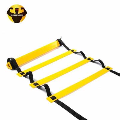 China PP+Nylon Adjustable Double Rope Speed ​​Ladder Fast Flat Ringed Agility Ladder for sale