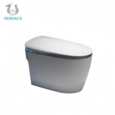 China Multi Functions Smart Intelligent Toilet Night Light Ceramic Body Foam Shield for sale