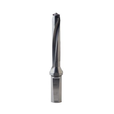 China Metal Drilling Fengyi Customized High Speed U-shaped Internal Cooling Bit 5D Mono Tip Line Toolholders for sale