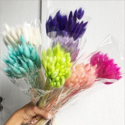 China Eco-friendly real natural fresh dried dry flower bouquet arrangements decoration lagurus flower for sale