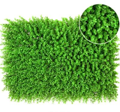 China Artificial Fence For Boxwood High Quality Eco-friendly Artificial Green Plant Wall Hedge Decoration for sale