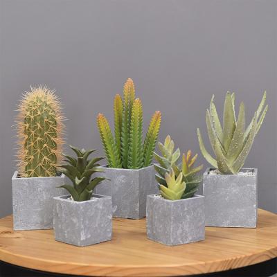 China Wholesale Hot Sale Plants Plastic Material Artificial Succulent Meat Plant Home Decoration Succulent For Potted Plant for sale