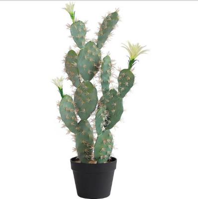 China Home Decoration Plant Pots Large Artificial Cactus Plant Succulent Holder for sale