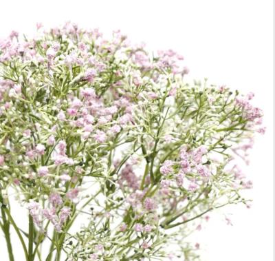 China Wedding Decoration New Products 2018 Gypsophila Wedding Flower Artificial for sale