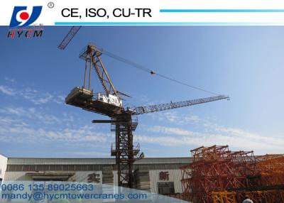 China 50m Tower Crane Luffing Jib 10ton Fixed Jib Crane D5020 Internal Climbing Tower Crane Luffing Boom Crane for sale