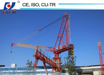 China 1250KN.m Fixed Jib Crane 50m Tower Crane Boom Length D5020 Luffing Jib Crane with Tower Crane Climbing Cage for sale