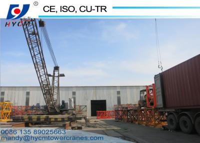 China WD60(2420)  No Mast Crane 6ton Max. Load 2.0t Tip Load Dismantle Tower Crane Schneider Derrick Crane for sale