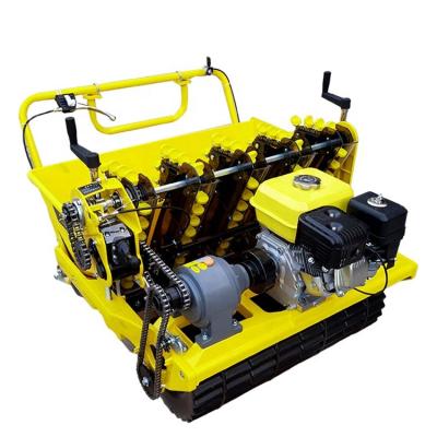 China Model Seeder Machine Farm Hand Push Gasoline Engine Garlic Planter Machinery for sale