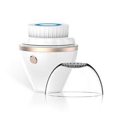 China 2020 New Design DEEP CLEANING Facial Washing Machine Brush Two Facial Brush Heads For Usb Charging for sale