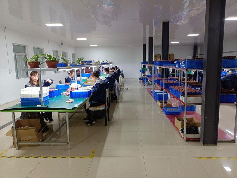 Verified China supplier - Cangzhou Teruise Trading Co., Ltd.