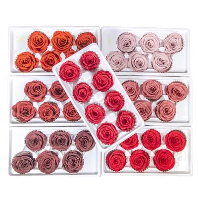 China Preserved Roses Wholesale Real Touch Long Lasting Stabilized Dry Forever Flower Head Bud Eternal Preserved Rose for sale