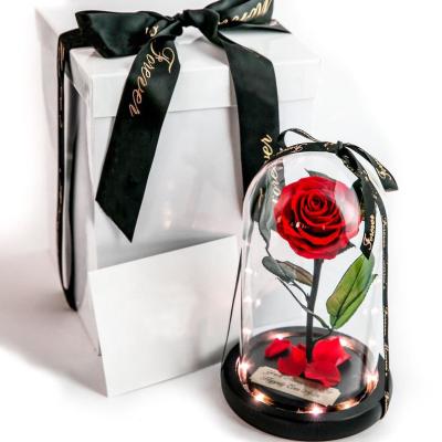 China Gift Box Beauty Beast Beauty LED Real Flower Dried Flowers 12*20cm Hot Red Eternal Decorative Eternal Preserved Roses Forever In Glass Dome for sale