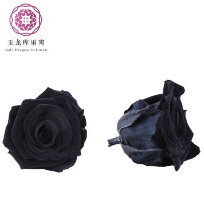 China Fashional Artificial Flowers Yunnan Culinan Factory Wholesale Real Eternal Flowers Preserved Eternal Black Rose For Decoration Flowers for sale