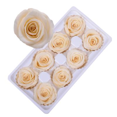 China Wholesale Natural 4-5cm Natural Touch Champagne Real Flowers Head Forever Preserved Roses for sale