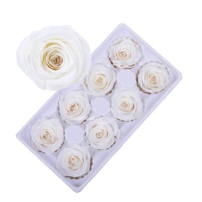 China Natural Touch Plant Supply 4-5 Cm True Forever Rose Flower Lasting White Eternal for sale