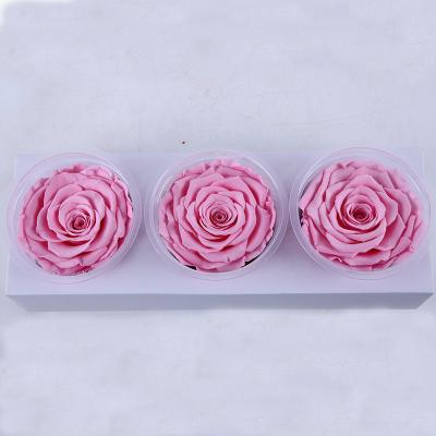 China Wholesale 7-8cm Preserved Roses from Romantics Yunnan Culinan for sale