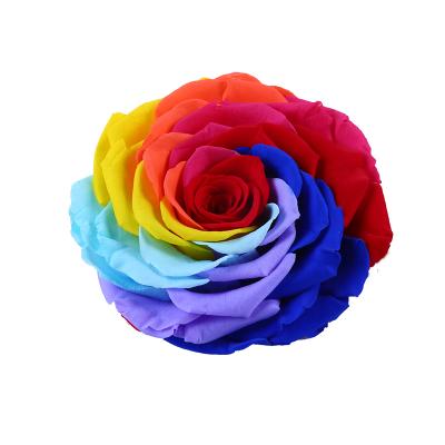 China Natual Contact Yunnan Culinan Factory Wholesale Preserved Pastel Rainbow Rose for Valentine's Day Decorative Flowers and Garlands for sale