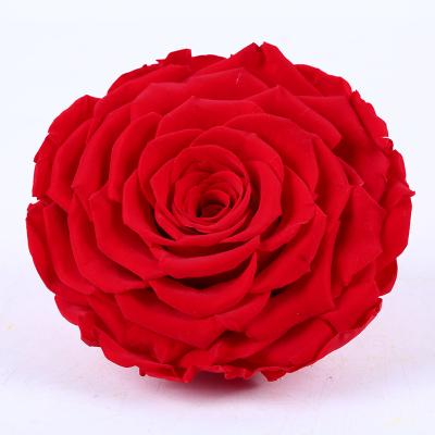 China Natual Contact Yunnan Culinan Factory Wholesale 11-12cm Freeze Dried Roses Supplier Dried Preserved Roses for sale