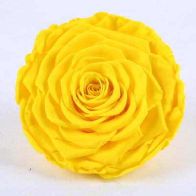 China Natual Contact Yunnan Culinan Factory Wholesale Preserved Flower A Grade 10CM Roses For Wedding Decoration Roses for sale