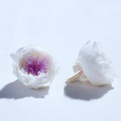 China Fashional Yunnan Culinan Preserved Nature And Forever True Austin Roses For Valentine Day Gifts for sale