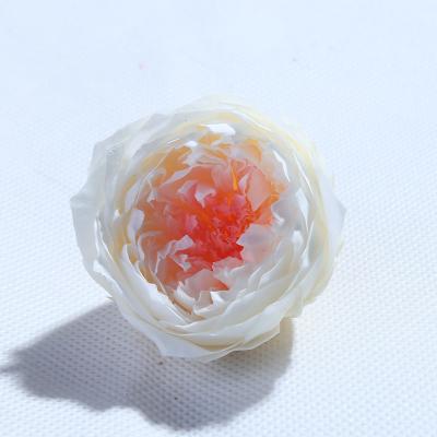 China Romantics Wholesale A Grade Fresh Roses Flowers Forever Preserved Austin For Wedding Decoration for sale