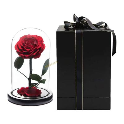 China Bridal Bouquets Prince Stabilized Big Bella Beast Rose Stem Real Eternal Small Glass Dome Preserved Forever Flowers for sale