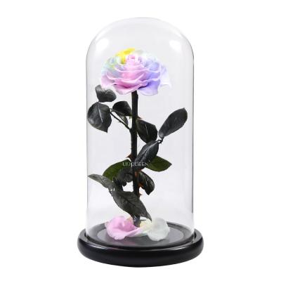 China Bridal Flower Bouquets Original Plant Wholesale Long Lasting Real Fresh Preserved Forever Rose In Glass Dome for sale