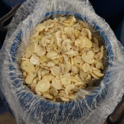 China Canned White Button Mushroom Scatters Slices Packing In Drum For Export for sale