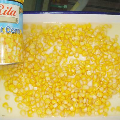 China 2022 Crop Canned China Wholesale 400g Canned Corn for sale