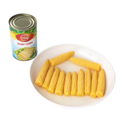 China Factory wholesale hot sale canned baby corn in brine 400g for sale